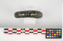 Foto von Bronzearmreif (NHMW-PRAE-025805)